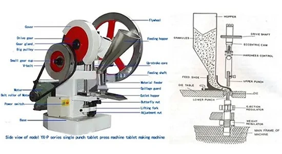 Tablet Punching Machine | Shaanxi Achieve chem-tech Tablet Punching Machine | Shaanxi Achieve chem-tech